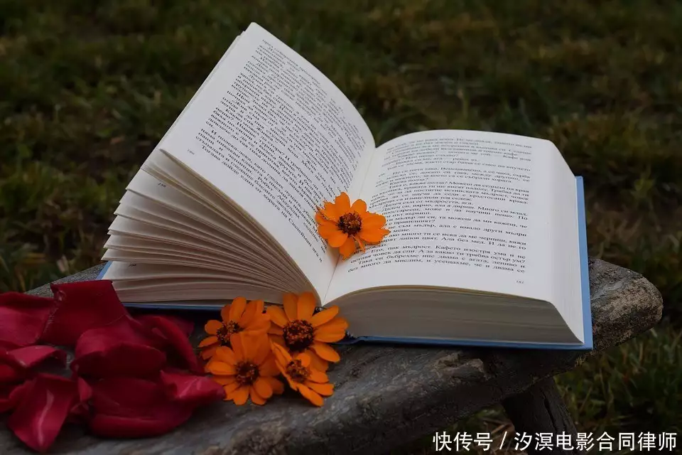 小程序劇上(shàng)線但無收益，投資方能否解除合同？鹵蛋菜姬出(chū)外務！這(zhè)次還偶遇了(le／liǎo)藕餅哦（小程序）小程序雞肋，